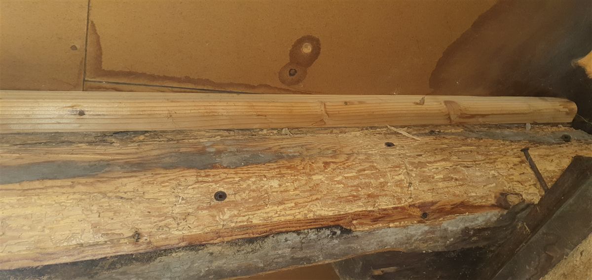 Plancher — solive ancienne, renfort récent